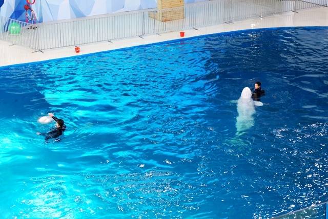 交通指南 地址:吉林省长春市合隆经济开发区合隆广场北侧海之恋广场