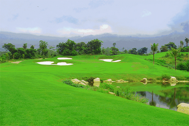 640_426 gif 动态图 动图