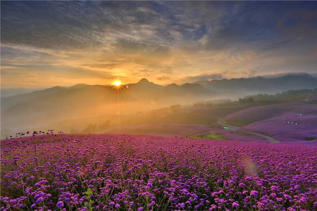 黔北花海