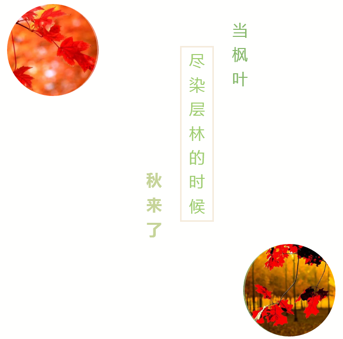 1571458540