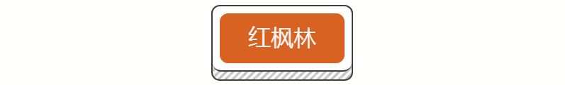 1571458540