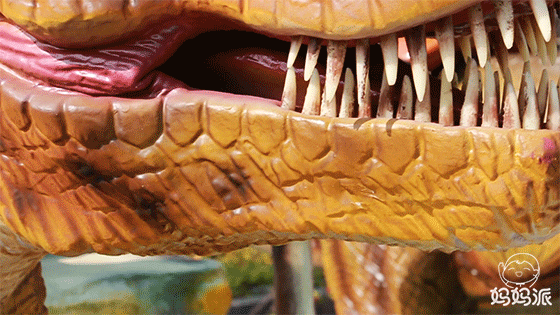 560_315gif 动态图 动图