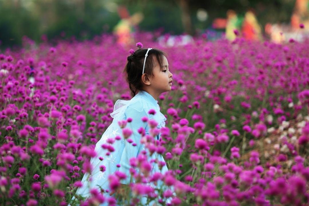 东莞梦幻百花洲 【东莞爆品】松山湖梦幻百花洲万花齐放!79.