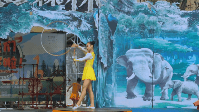 【东莞香市动物园】亲子游年卡（1大1小），558元一大一小全年免费玩！（含机动游戏）