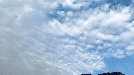 【首届热气球飞行之旅】光明时尚生态谷~119元抢购套餐D：热气球儿童套票~感受科技农事、坐热气球，飞跃云端，探索天空~开启上帝视角！翱翔于蓝天之上！