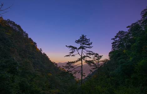 江西靖安三爪仑观音岩景区门票 当天9点之前可定