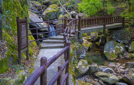 江西靖安三爪仑观音岩景区门票 当天9点之前可定