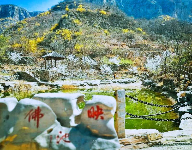 【山东-淄博】齐山风景区(樱花季)门票(含上行小交通,4.