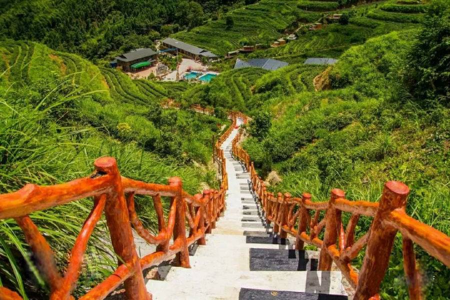 门票(含上下山观光连山皇后山清远连山皇后山皇后山茶庄园连山皇后山