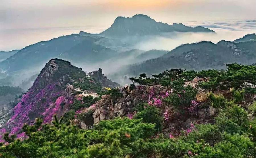 大珠山风景区【优待票】！杜鹃花海，山海一色，儿童乐园，老少皆宜！（可当天下单，游玩日期当日有效 ）