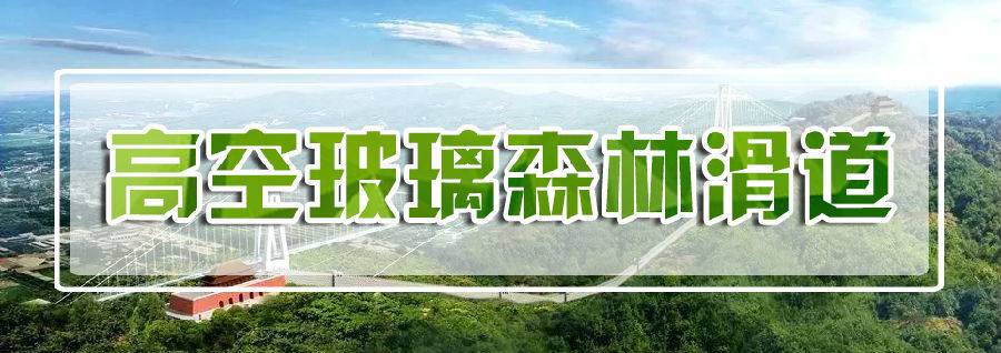 高空玻璃森林滑道.jpg