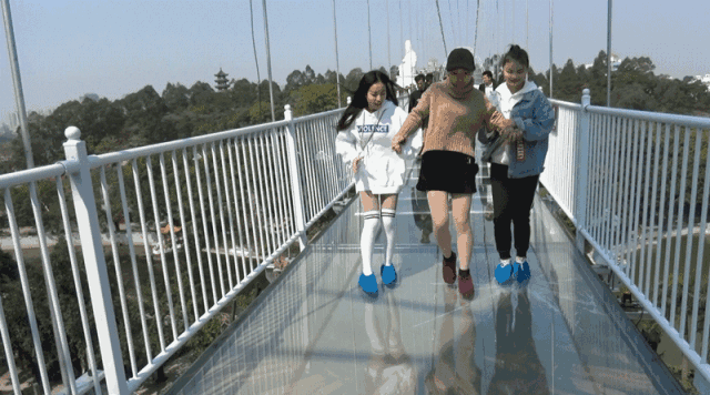 动图1.gif