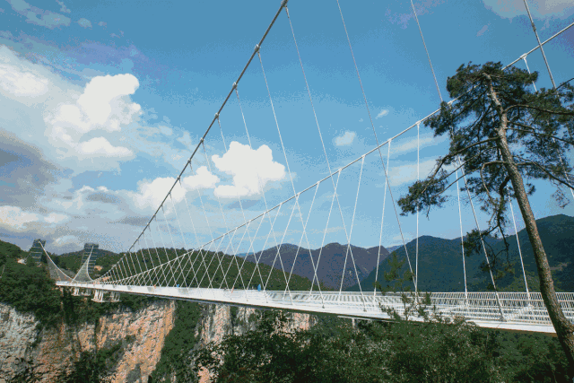 动图3.gif