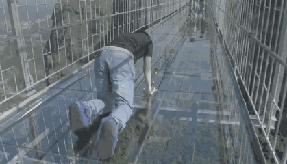 动图2.gif