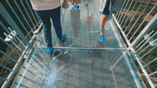 动图11.gif