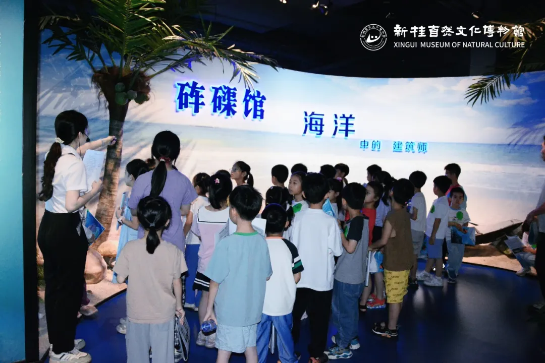 【独家优惠 | 99三人票】顺德！新桂自然文化博物馆！相约深海，共话千年~达3000㎡展馆，1300多件展品！逛海洋中的花园别墅，带娃来学习！节假日、周末不加收；有效期至9月30日；