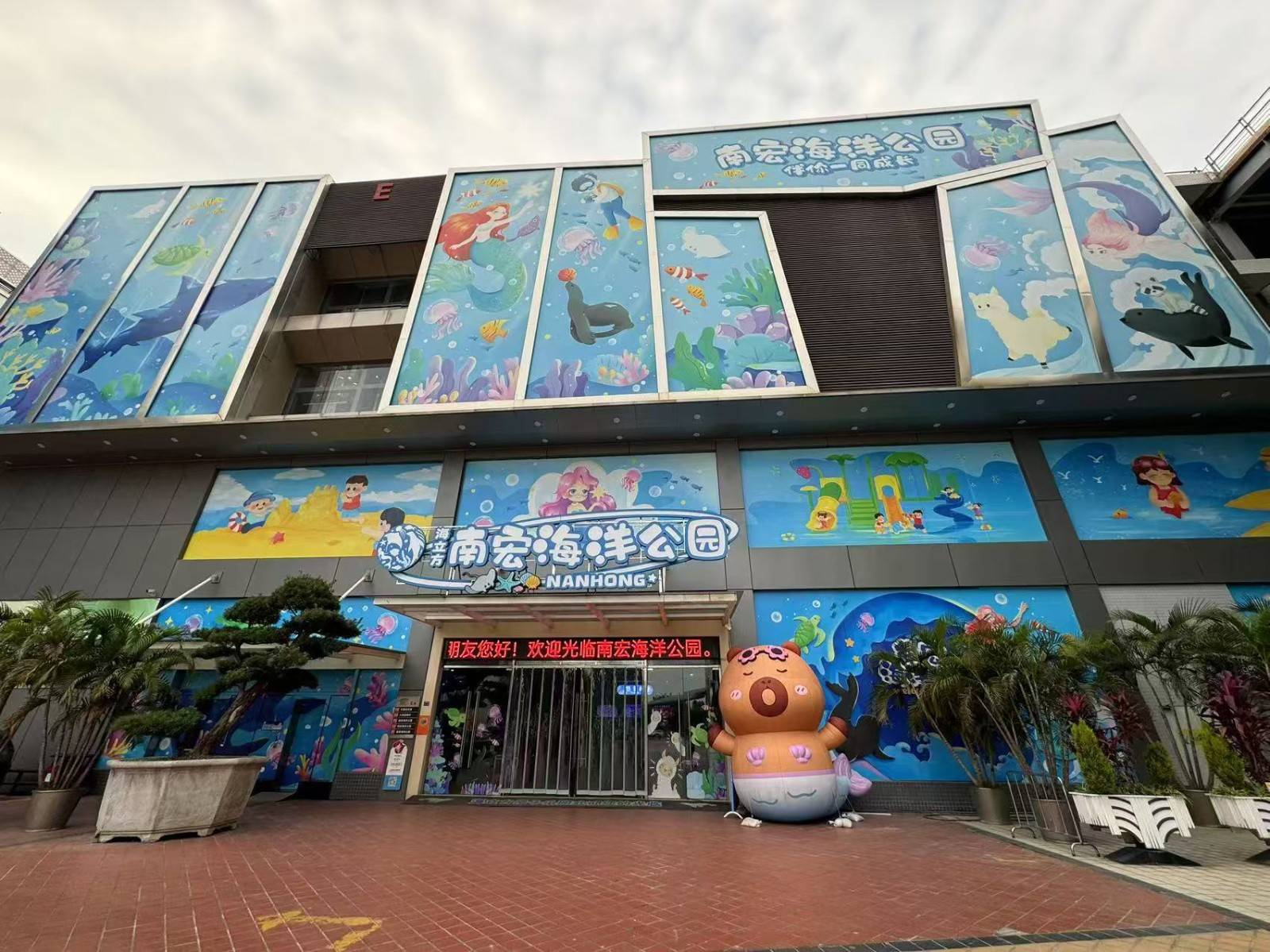 【周年庆典 | 88=1大1小】暑假通用，不加价！顺德南宏海立方海洋公园！家门口的海洋公园！使用有效期2025年7月5日-9月30日；