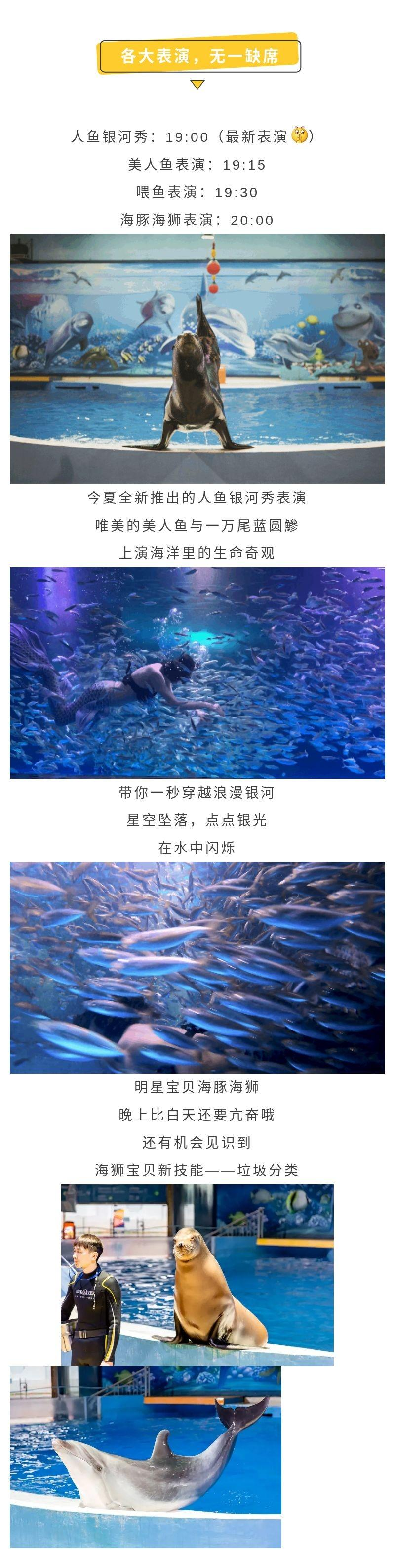 南京海底世界特惠晚场亲子一大一小预售票