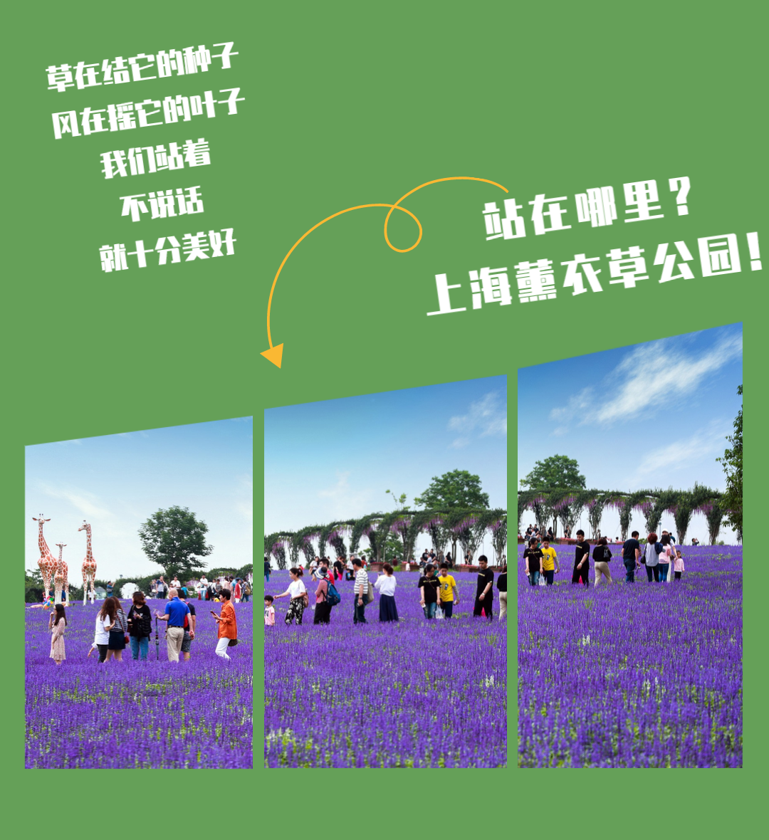 【上海薰衣草公园】 29元抢购平日单人门票！ 2020，上海薰衣草节要给你 360°的“春日体验”（5月16-6月30） ，不必远赴普罗旺斯，也能看见紫色的花海！在100亩梅丽雅特薰衣草花田里、在100000株不同品种的玫瑰花丛中、在20000㎡超大空间的休闲草坪上，畅快呼吸！