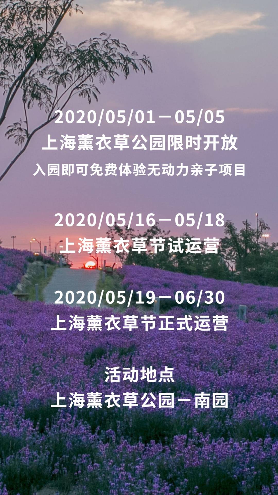 【上海薰衣草公园】 29元抢购平日单人门票！ 2020，上海薰衣草节要给你 360°的“春日体验”（5月16-6月30） ，不必远赴普罗旺斯，也能看见紫色的花海！在100亩梅丽雅特薰衣草花田里、在100000株不同品种的玫瑰花丛中、在20000㎡超大空间的休闲草坪上，畅快呼吸！