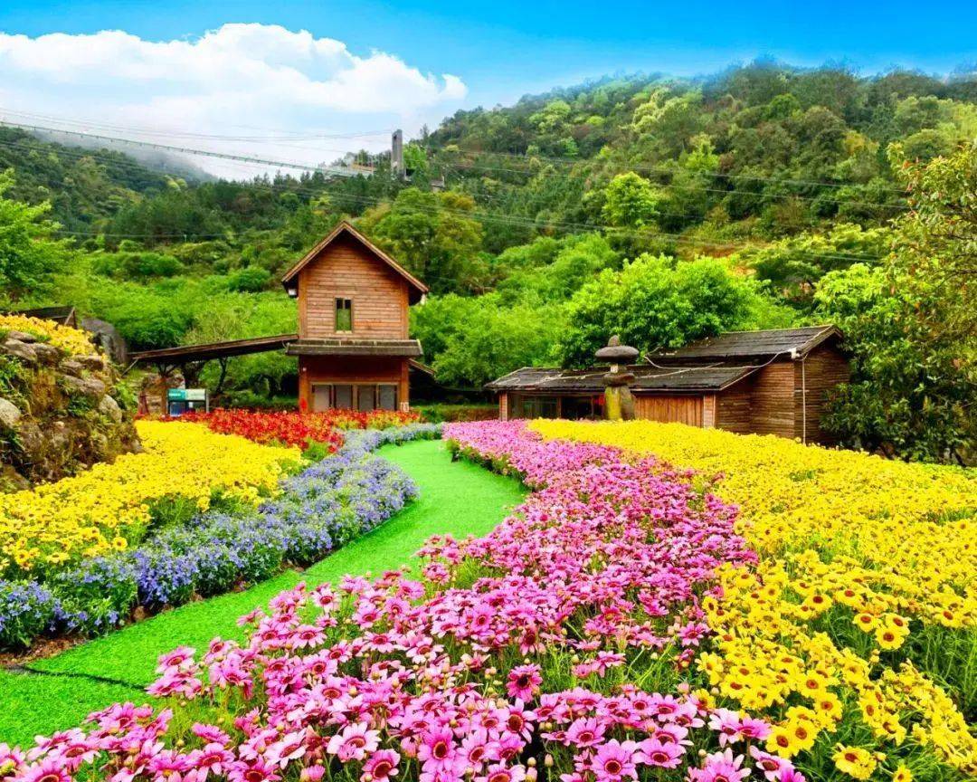 【纸质现票 包邮到家 2张起订】天露山 踏青赏花特惠门票 仅售30元/张 ,打卡天露山杜鹃花海(不含登山车),含佛手拈花+南药科普园+梅溪古镇+七彩梯田花谷+无忧谷......畅玩9大机动游戏;门票有效期至2022年4月29日