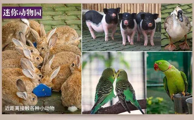 微信图片_20180718121722.jpg