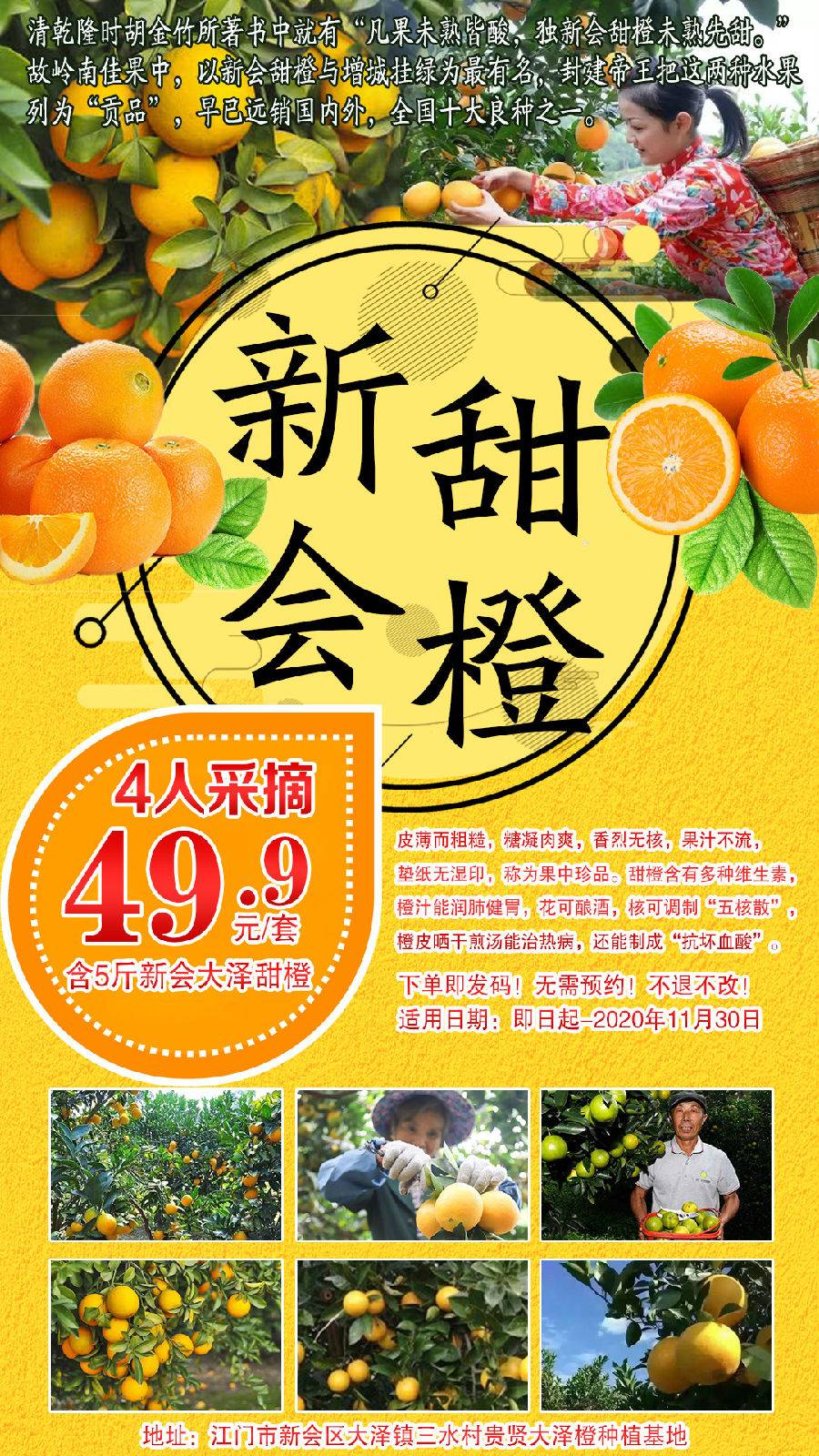 【预售】江门新会甜橙采摘+5斤甜橙4人套餐49.9元（预售B产品，有效期至2020年11月30日）