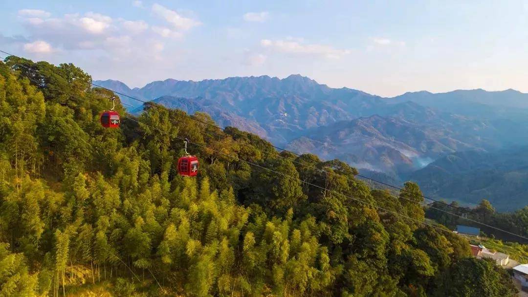 上行:步云站→红豆杉站 停→虎园站 带你冲上云霄坐看梅花山绝美全景