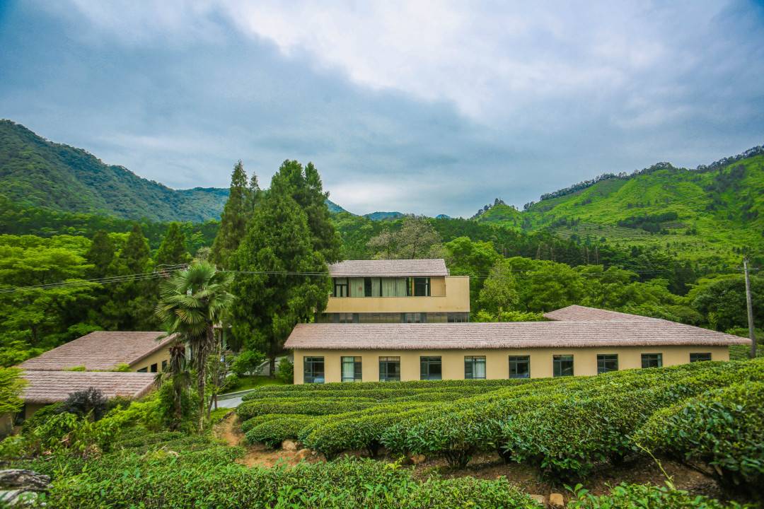 禅意空间|￥799=2套武夷山莲花溪壹号院民宿超值套餐