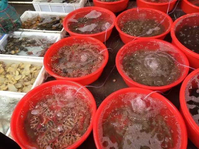 【惠州】网红UFO无边际泳池，就藏在这儿！168元【巽寮·九铭屿海】海天假日公寓一线海景房！所有平日不加收，还有“美女照镜沙滩”，送海鲜大餐！