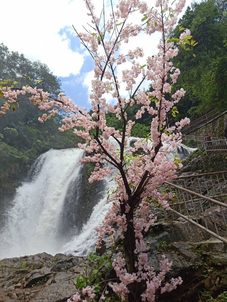 【广州】“广东小九寨”从化天湖风景区，29.9元抢天湖风景区门票+黄皮采摘，周末节假日不加价~观百丈飞瀑，20000/m³负离子吸个够！