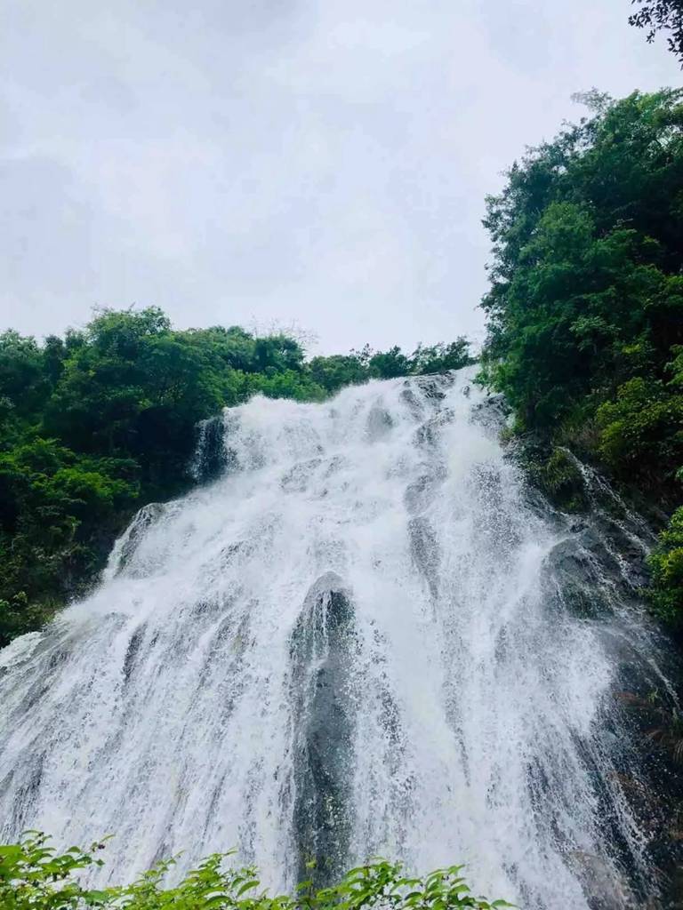 【广州】“广东小九寨”从化天湖风景区，29.9元抢天湖风景区门票+黄皮采摘，周末节假日不加价~观百丈飞瀑，20000/m³负离子吸个够！