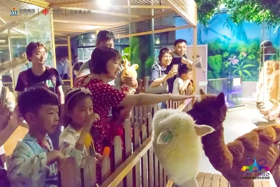 【南京】重磅福利！中南玄武湖游乐园暑期特惠票来啦！95元抢购门市价120元成人门票，赶紧带上小可爱，一起来重温儿时的快乐时光！不需预约，平日周末通用，不加收！