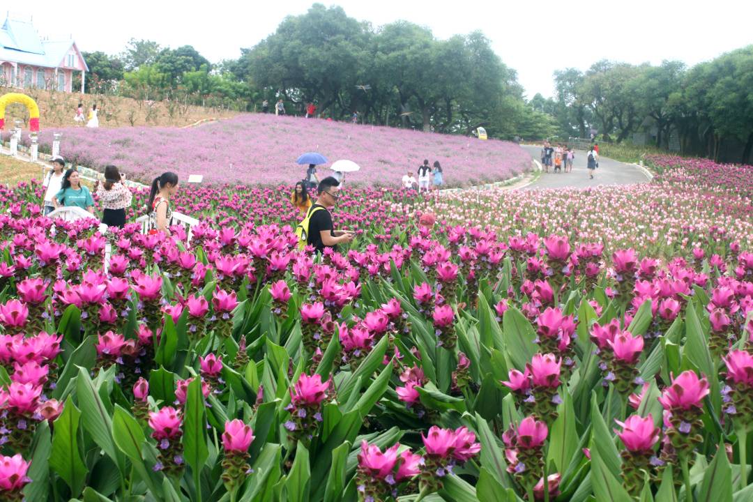 【东莞】两大两小松山湖梦幻百花洲暑假特惠，仅需99元，畅玩冰雪乐园，儿童戏水，侏罗纪恐龙文化节，12项机动游戏等，暑期必购！