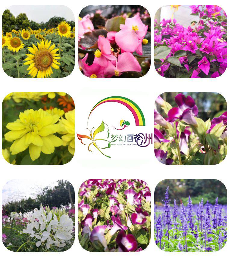 【东莞】两大两小松山湖梦幻百花洲暑假特惠，仅需99元，畅玩冰雪乐园，儿童戏水，侏罗纪恐龙文化节，12项机动游戏等，暑期必购！