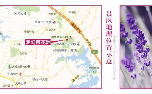 【东莞】两大两小松山湖梦幻百花洲暑假特惠，仅需99元，畅玩冰雪乐园，儿童戏水，侏罗纪恐龙文化节，12项机动游戏等，暑期必购！