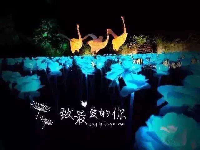 【苏州】就在张家港！“暨阳湖欢乐世界梦幻啤酒灯光节”震撼来袭！29.9元3000万颗灯光同时闪耀！！