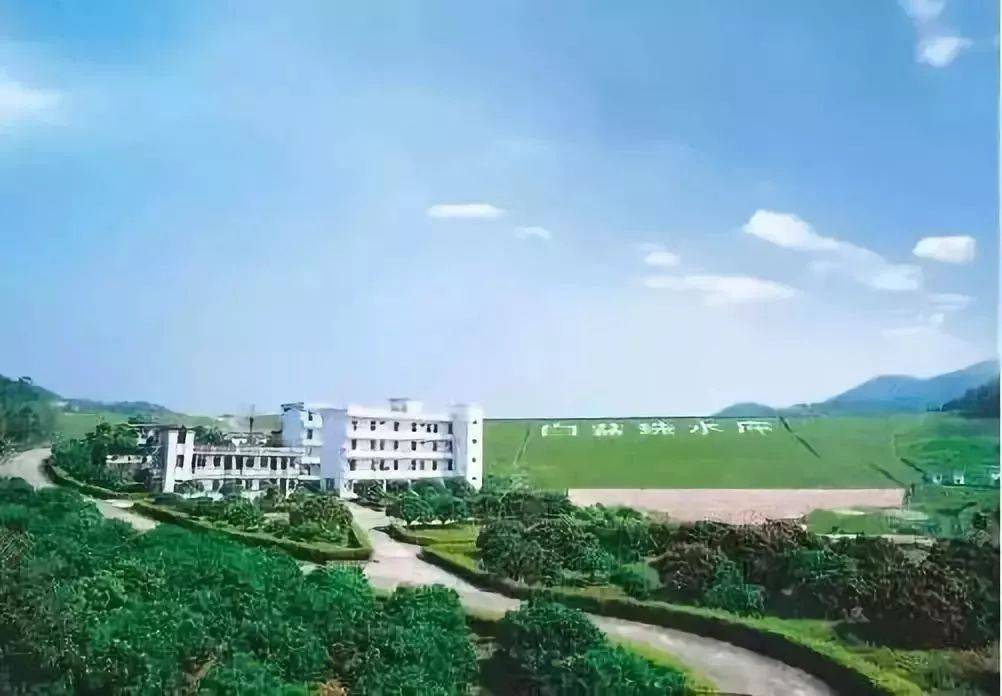 【惠州】X程上高品质高评分酒店！699元入住顺逸东方白盆湖温泉酒店~独栋别墅2房1庭院套房，温泉泳池应有尽有！