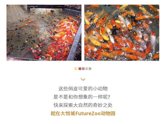 【杭州】国庆特惠~99.9元抢杭州Futurezoo未来动物城2大1小亲子票