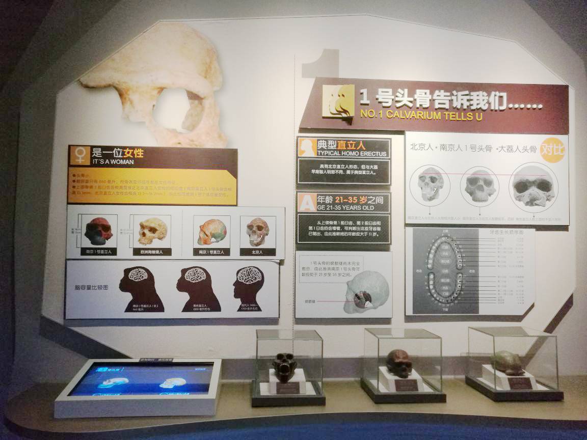 【南京】探秘60万年前汤山古猿人的秘密,江宁汤山地质