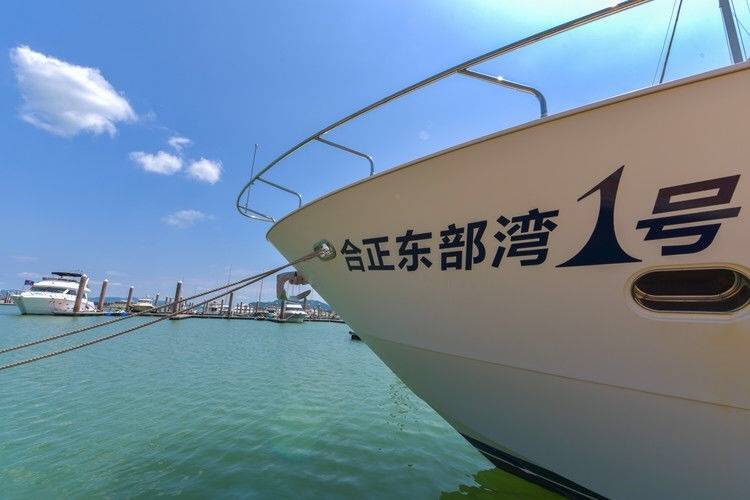 【限时抢购】9.9元抢惠州合正东部湾豪华海景房！