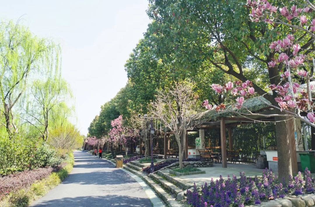 【嘉兴桐乡稻乡人家自助烧烤】全年周末节假日不加收~78元抢稻乡人家