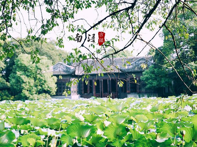 【399打卡南浔开元酒店】超高颜值徽派品质酒店2折抢!豪华房+2大1小自助早餐+南浔文园门票+文化体验活动+网红打卡地南浔古镇!出门即古镇,毗邻南浔王牌景点小莲庄~