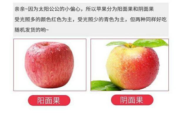 爆卖10万+！陕西膜袋红富士苹果10斤仅需¥39.9，现摘现发，品质如一，好吃到皮都不放过！