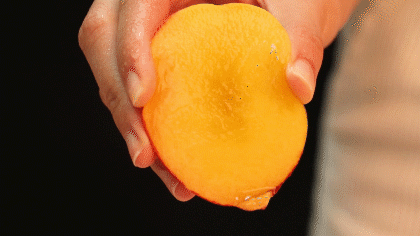 【枣阳油桃】爽甜多汁！29.9元秒5斤油桃大果，颗颗鲜红，个大脆甜，吃一口嘎嘣脆！
