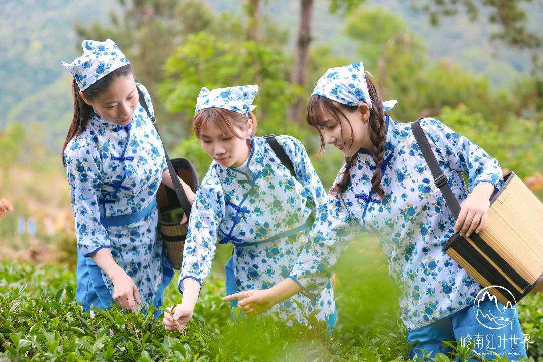 韶关 | 468元住岭南红叶世界酒店，山景房、湖景房、星空玻璃房可选，打卡岭南云山云海，在星空下入眠