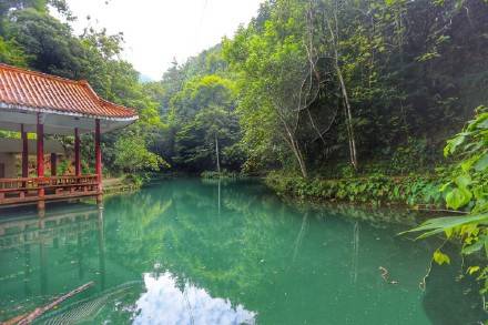 河源桂山风景区成人套票