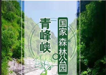 【早秋特惠】54.9元购青峰峡国家森林公园(含动物乐园)+往返观光车单人票