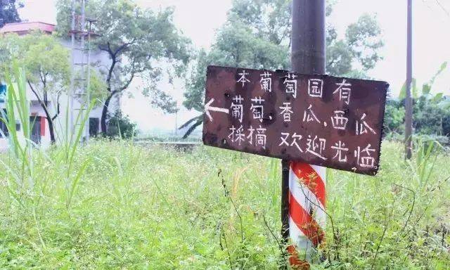 微信图片_20230606094338.jpg