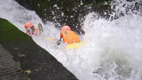 微信图片_20220525083552.gif